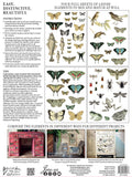 Entomology Etcetera - IOD Transfer