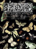 Entomology Etcetera - IOD Transfer