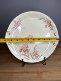 Vintage Stained & Crazed Universal Cambridge Camwood Ivory Iris Floral Serving Platter – USA