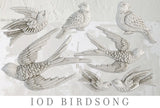 Birdsong - IOD Mould