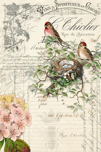 Bird Ephemera - Rocycled Decoupage Paper