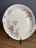 Vintage Stained & Crazed Universal Cambridge Camwood Ivory Iris Floral Serving Platter – USA