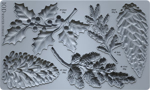 Winter Forage IOD Mould