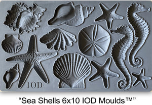 Sea Shells - IOD mould