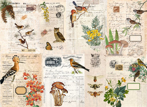 Fall Botanical Project Blocks - Rocycled Papers