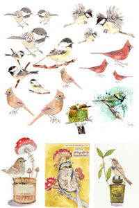 Catalog of Birds – Roycycled Decoupage Paper