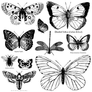 Butterflies - IOD Stamp