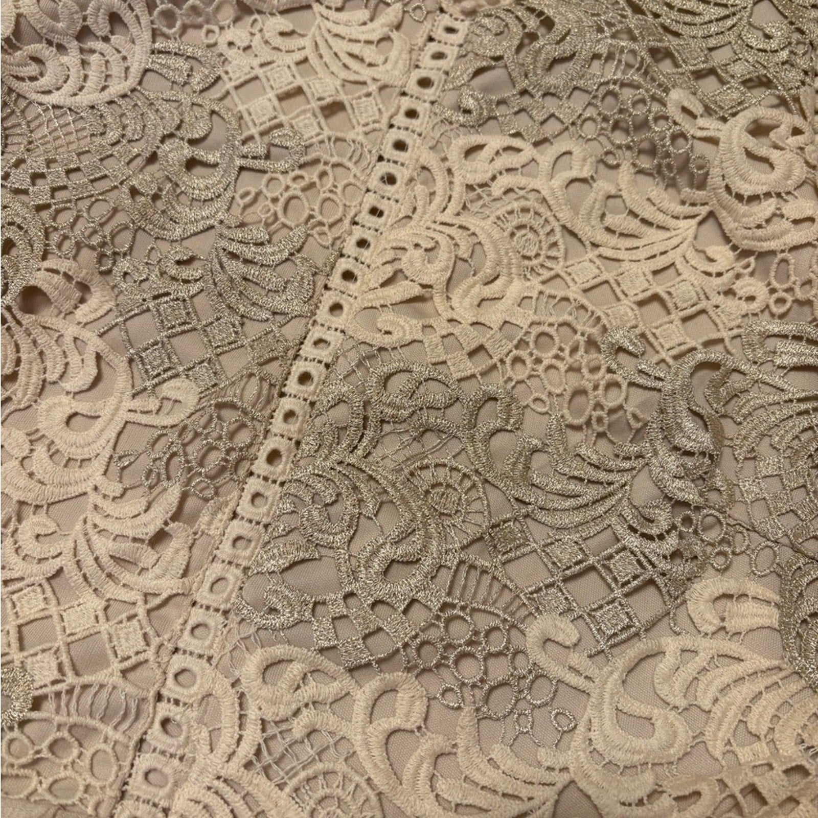 Francesca's Collections Cream Lace Detail Short Dress
