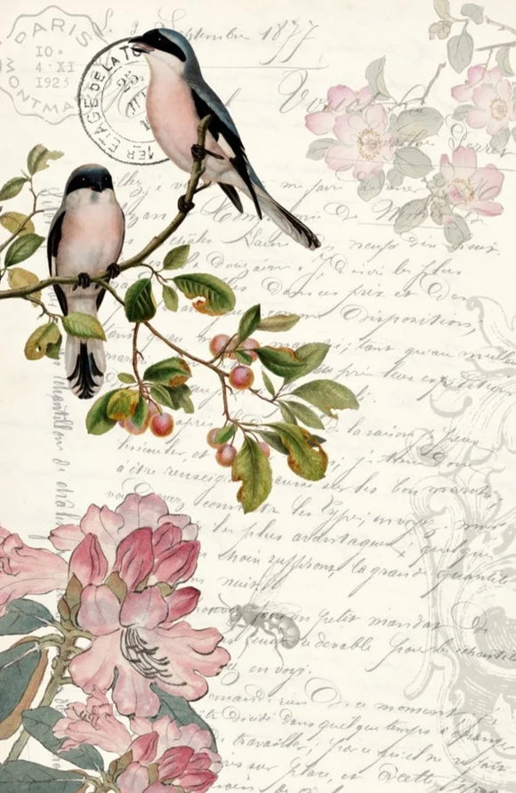 Spring Bird – Roycycled Decoupage Paper