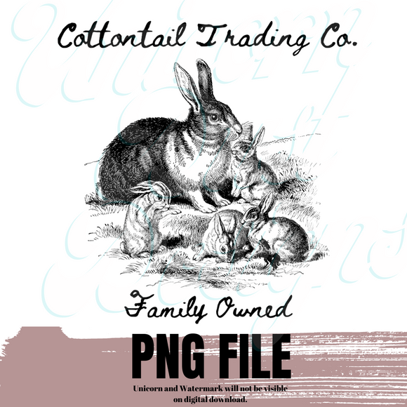 Cottontail Trading Co.