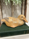 Speckled Duck